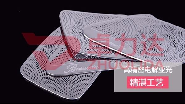 Car horn net
