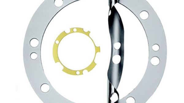 Multi-layer gasket
